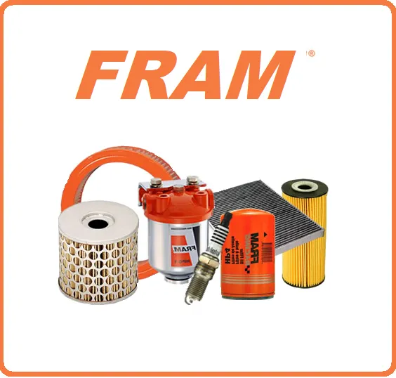 FRAM filter