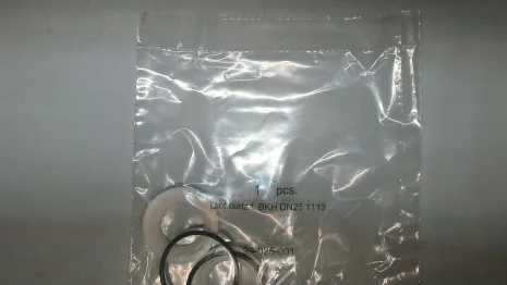 Gasket set for BKH DN25 1113
