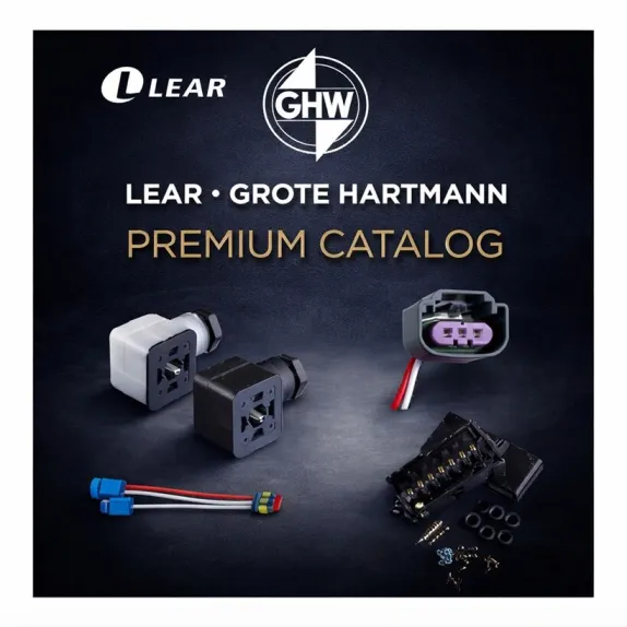 Lear (Grote Hartmann)