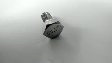 Item 17 screw