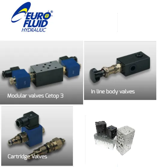 Eurofluid