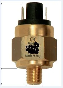 PMN 10