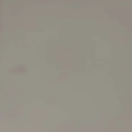 1000067