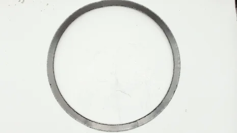 cover gasket for fig. 821AC45 PN 16 DN 150