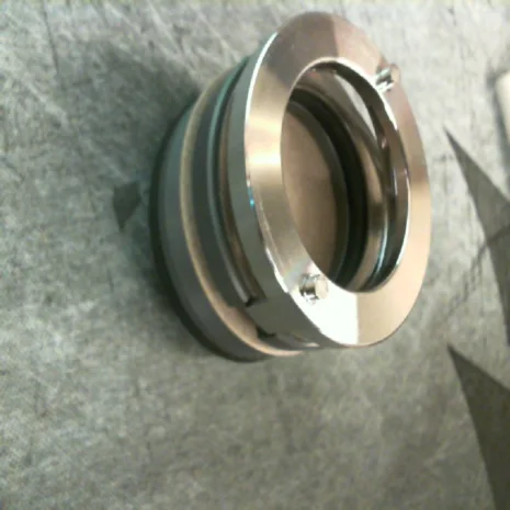 Mechanical Seal