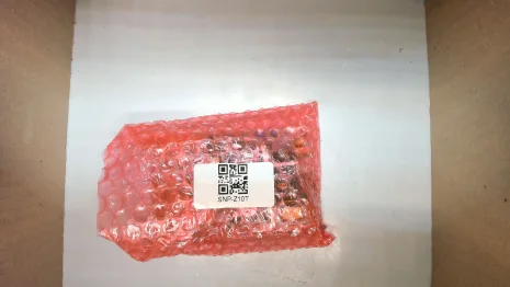 SNP-Z10T