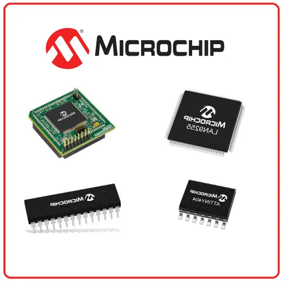 Microchip