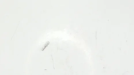 5000319