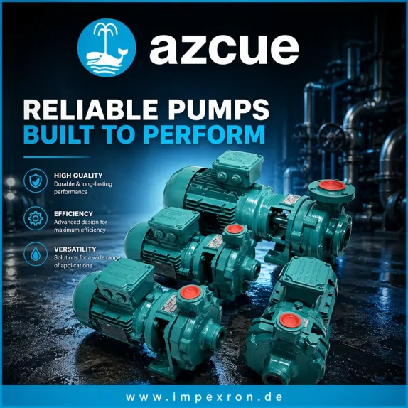 Azcue Pumps
