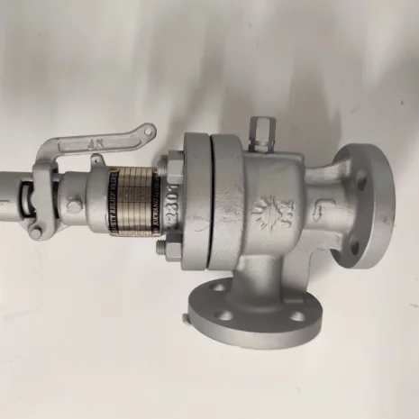 JSV-FF21 (ASME CL 150 RF - 3/4" x 1" (20A x 25A )
