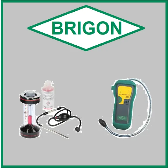 BRIGON