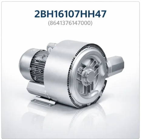 2BH16107HH47 (8641376147000)
