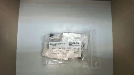 229559