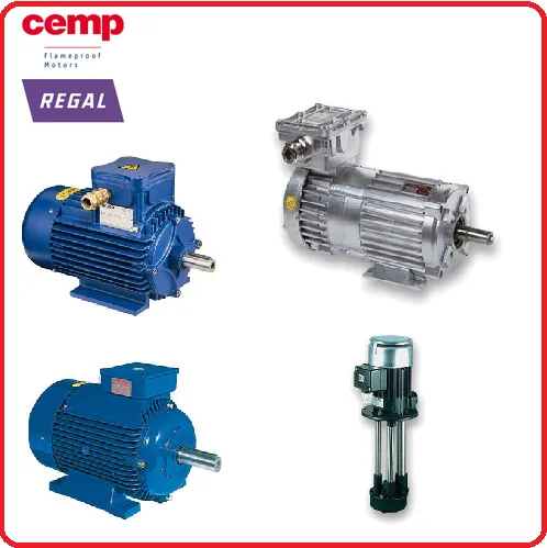 CEMP SRL