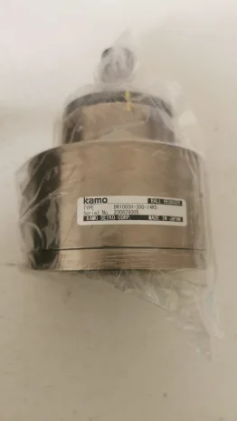 BR100SH-30G-14K5