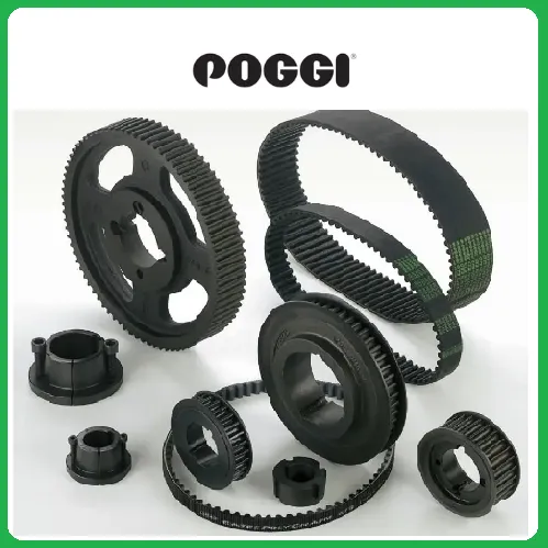 Poggi