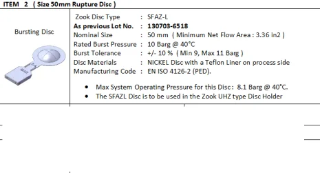 RDI Berstsensor DN 50 