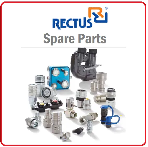 Rectus (Parker)