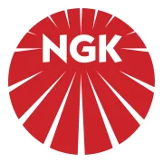 NKG logo NKG logo