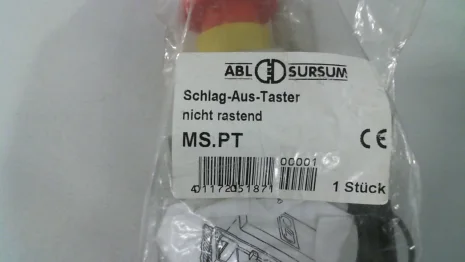 MS.PT