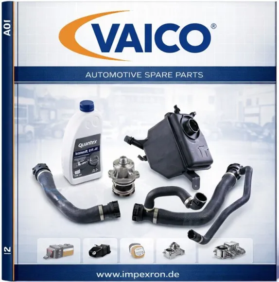 Vaico