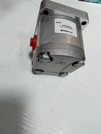 1P2D6GAS