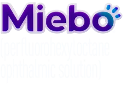 mibbo logo mibbo logo