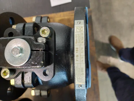 DN80 PN16