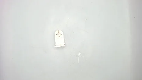 100591