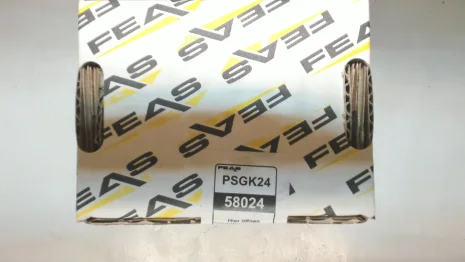 58024 / PSGK24