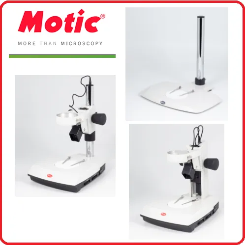 Motic
