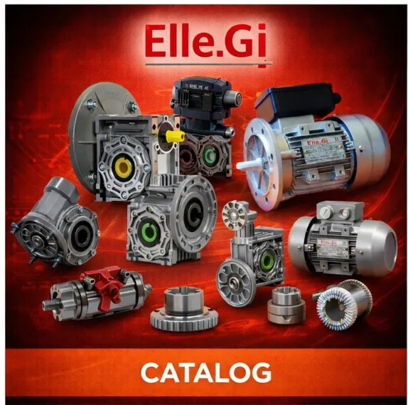 ELLE GI SRL
