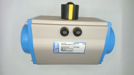 AN02000500