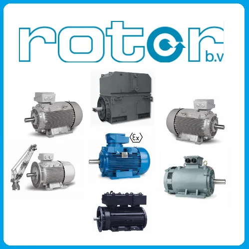 Rotor