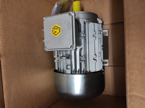 II 2G Ex eb IIB T3 Gb three-phase motor