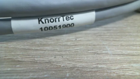 10051900