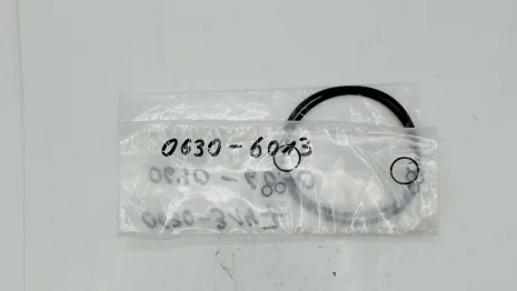 0630-6013