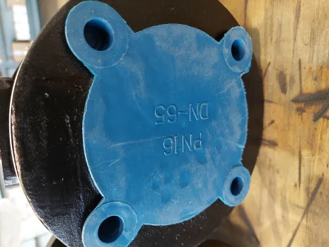 DN65 PN16