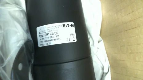 FHF22631301