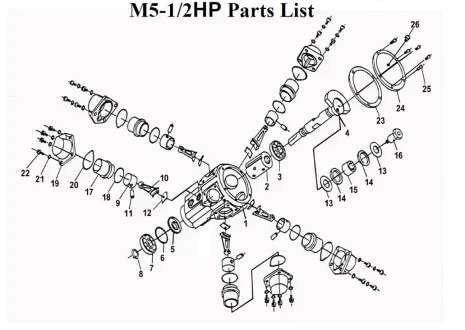 P1-M5
