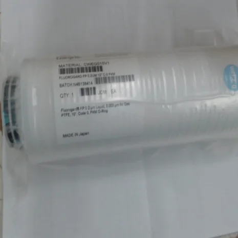 CWEG010V1