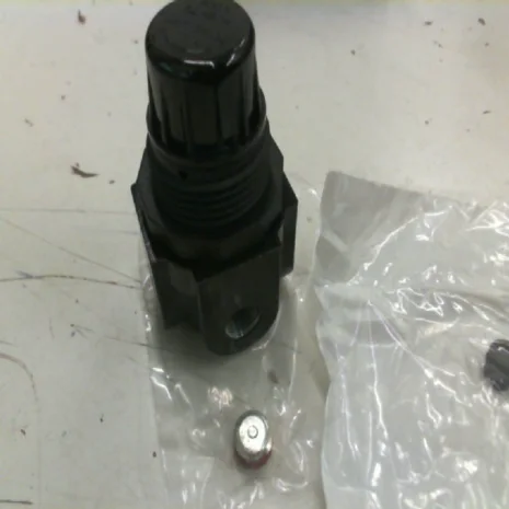 R161L