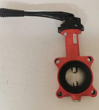 LUG DN 65 PN16