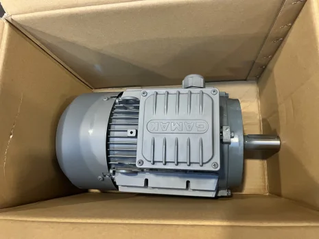 AGM3EL 100 L 4a 2.2 KW 1500 D/DK IE3 380V B3