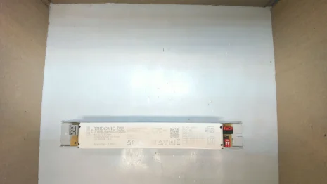 87500994