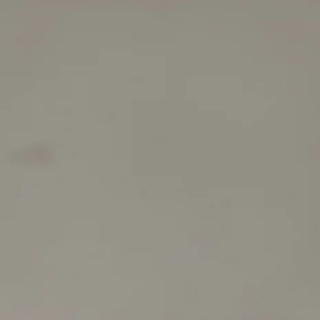1000239