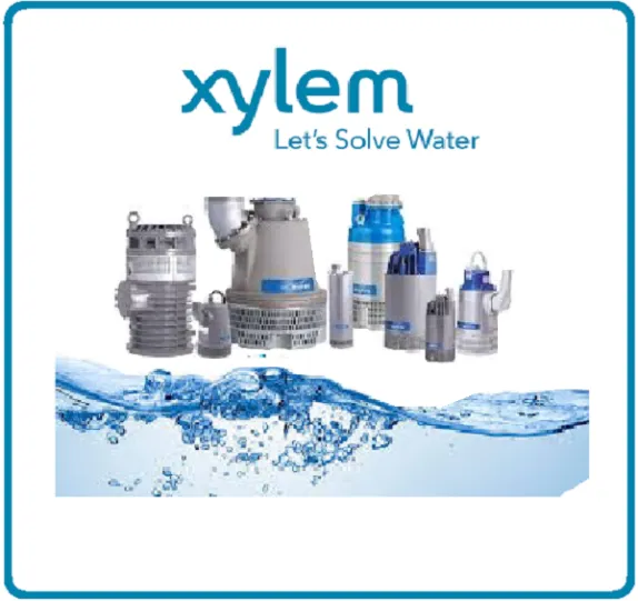 Xylem
