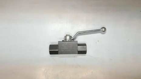 BKH G1/4 6 11111 PN500 / 100018