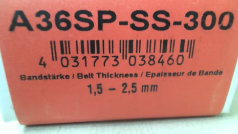 A36SP-SS-300