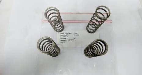 KT101556